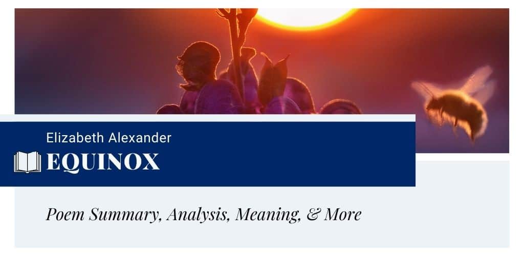 Analysis of Equinox by Elizabeth Alexander Analysis of Equinox by Elizabeth Alexander