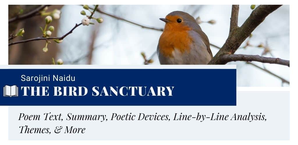 Analysis of The Bird Sanctuary by Sarojini Naidu Analysis of The Bird Sanctuary by Sarojini Naidu