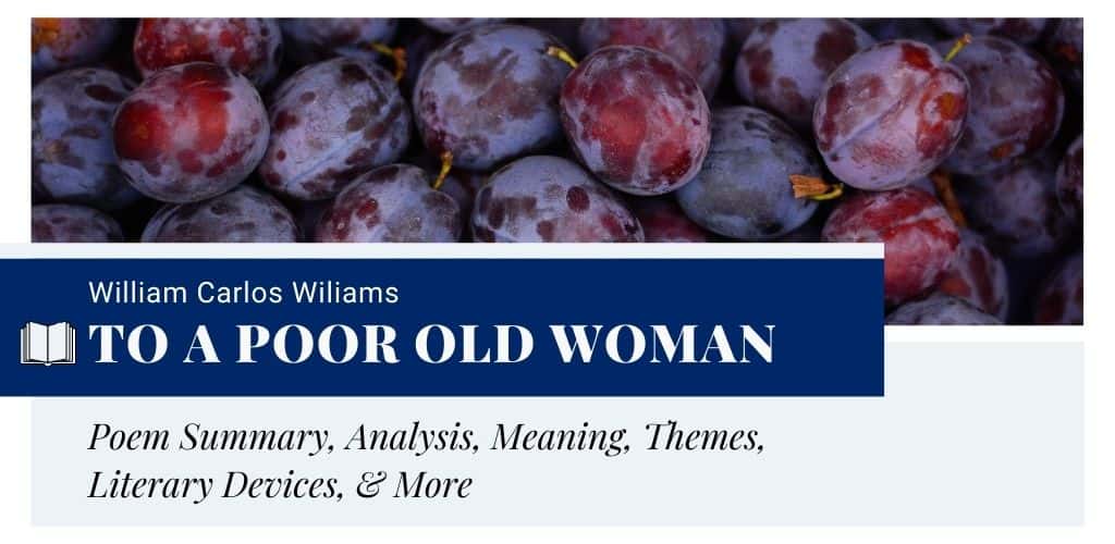 To a Poor Old Woman by William Carlos Wiliams To a Poor Old Woman by William Carlos Wiliams