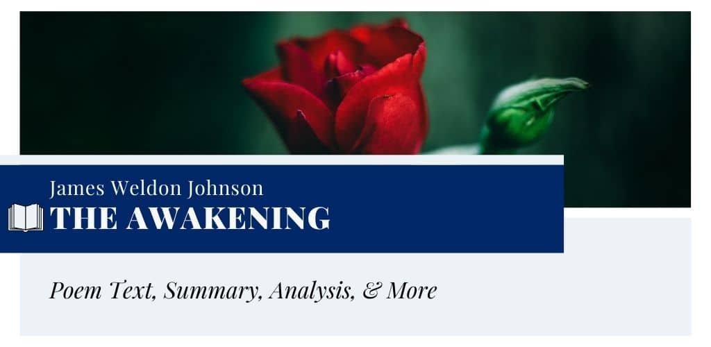 Analysis of The Awakening by James Weldon Johnson Analysis of The Awakening by James Weldon Johnson
