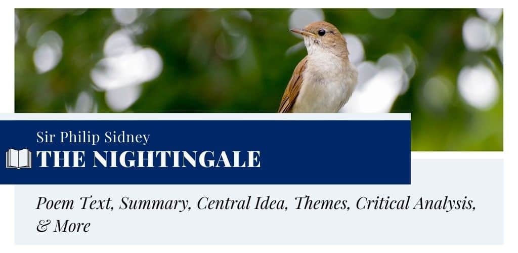 Analysis of The Nightingale by Sir Philip Sidney Analysis of The Nightingale by Sir Philip Sidney