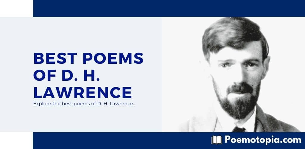 Best Poems of D. H. Lawrence Best Poems of D. H. Lawrence