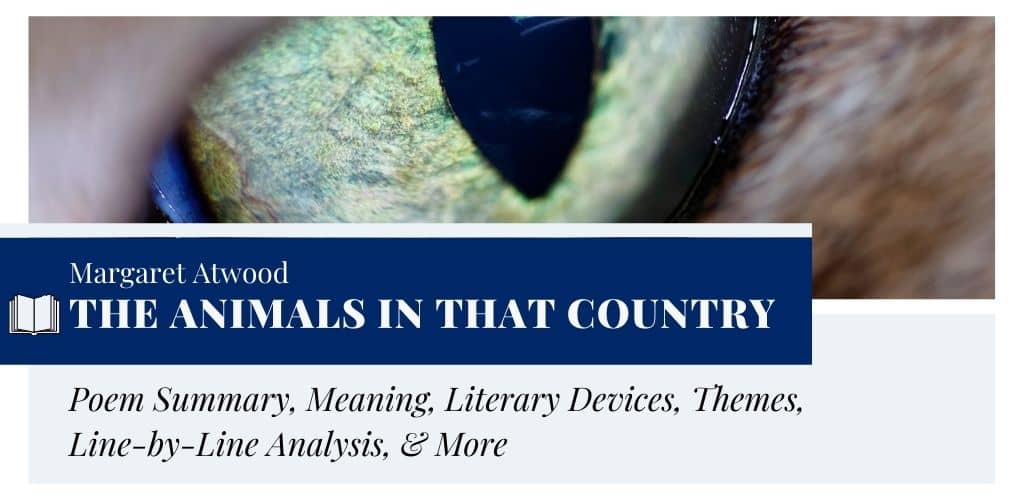 Analysis of The animals in that country by Margaret Atwood Analysis of The animals in that country by Margaret Atwood