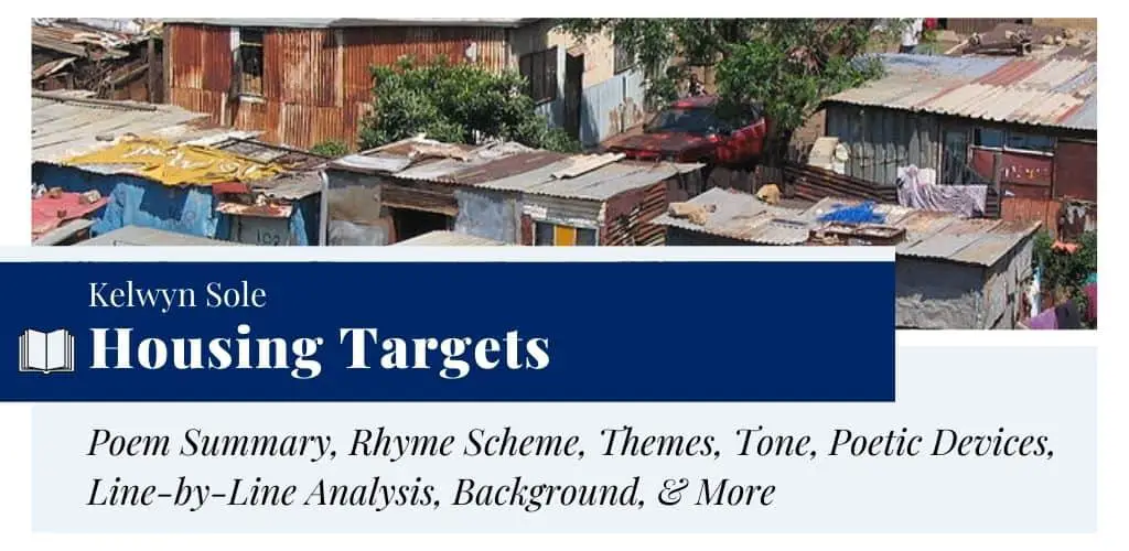 Analysis of Housing Targets by Kelwyn Sole