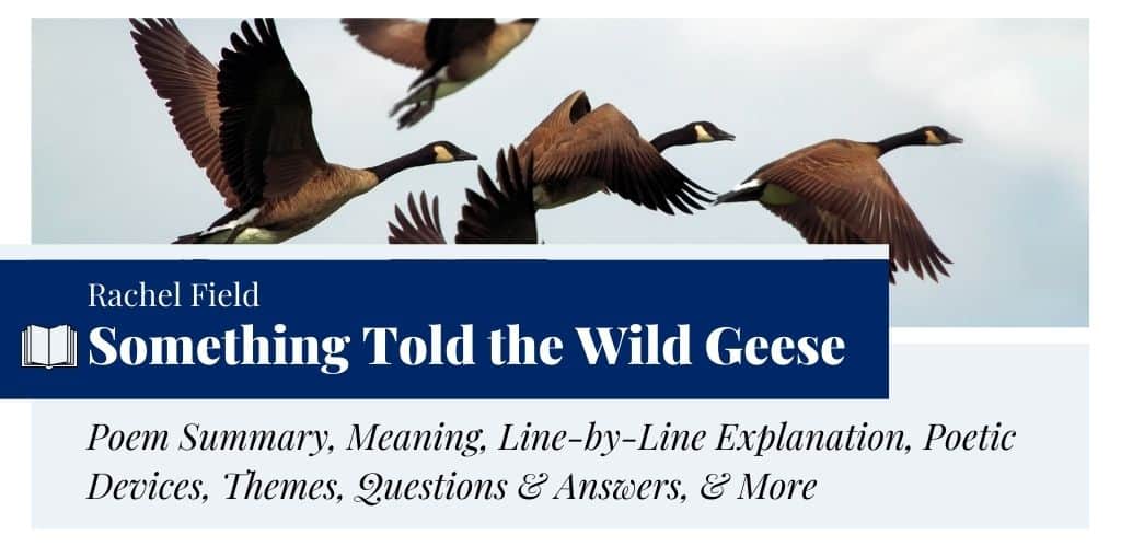 Analysis of Something Told the Wild Geese by Rachel Field Analysis of Something Told the Wild Geese by Rachel Field