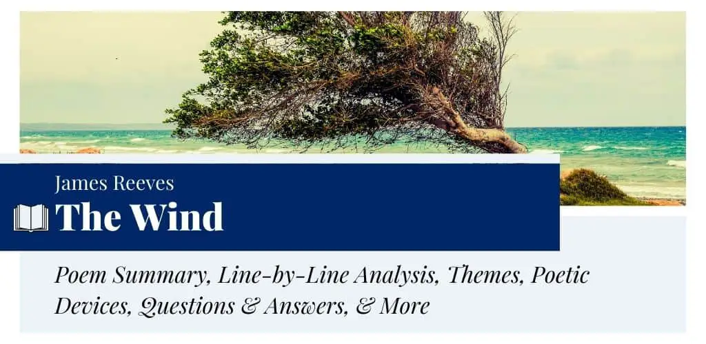 Analysis of The Wind by James Reeves Analysis of The Wind by James Reeves