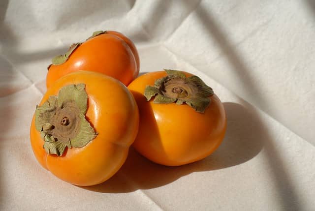 Persimmons by Li-Young Lee